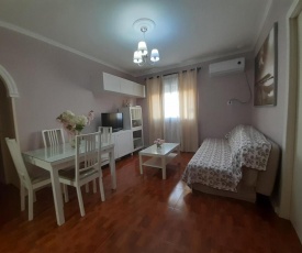 Apartamento Zona Norte