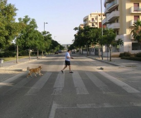 Alojamiento turístico en playa Torre del Mar