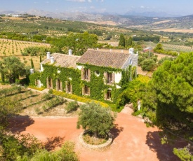 Cortijo LA Organic