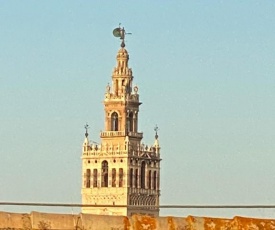 ATICO CALERIA CON VISTAS A LA GIRALDA