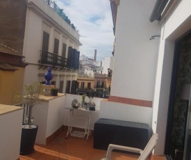 House Sevillana